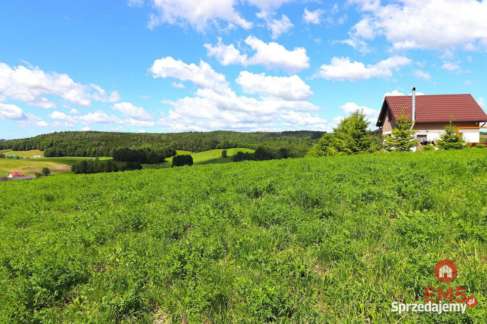 sprzedaży gruntu 4800m2 Olszanka sprzedam