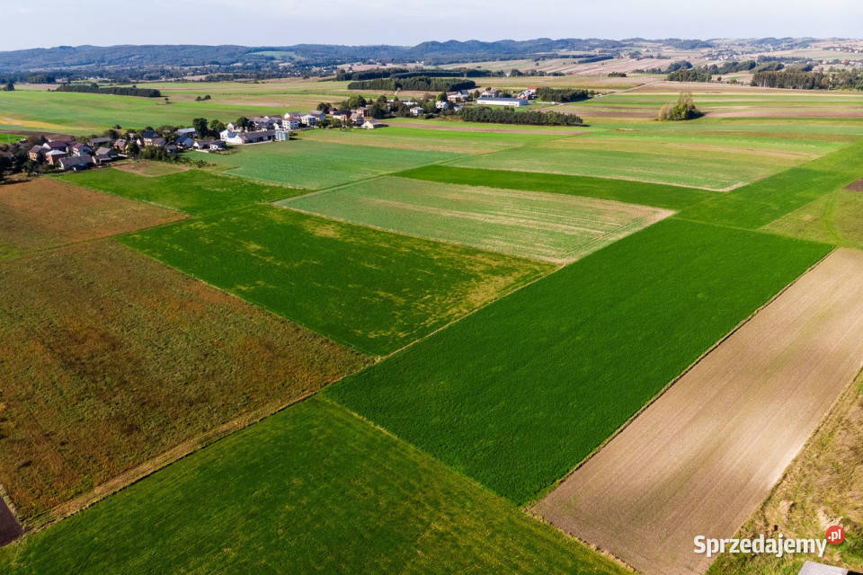 Gospodarstwo rolne Gmina Wolbrom rolna sprzedam