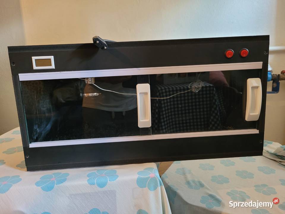 Terarium żółwia jaszczurki węża
