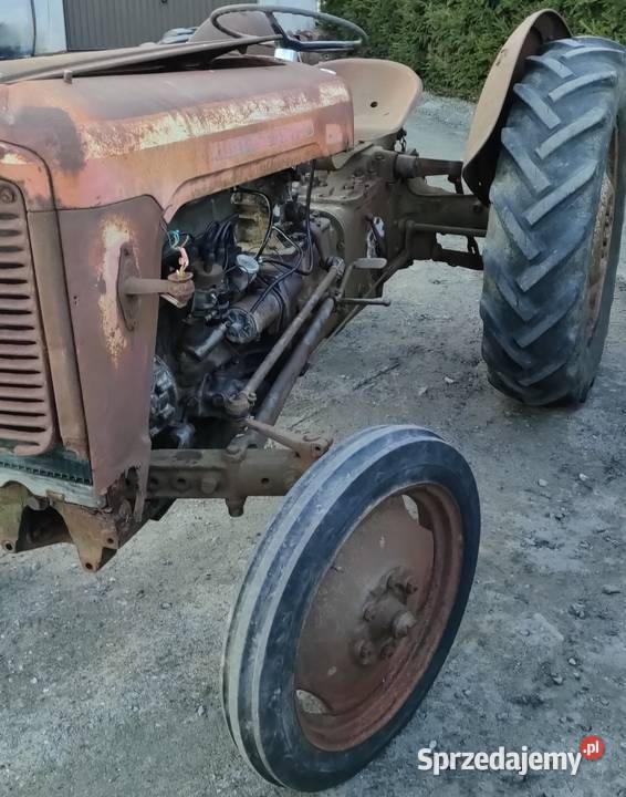 Massey Ferguson 35 kujawsko-pomorskie Kornatowo