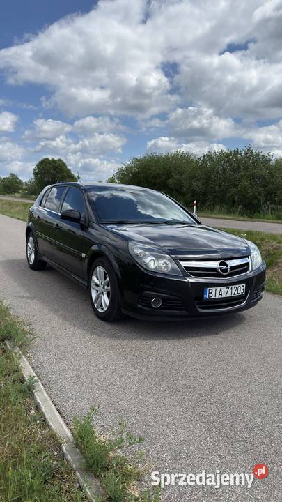 Opel Signum 19 CDTI 150 Skóra Xenon Navi PDC podlaskie Białystok