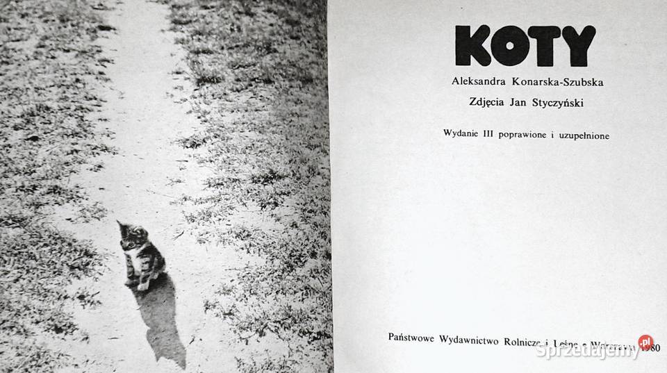 Koty nasze hobby A Konarska Szubska Chełm sprzedam