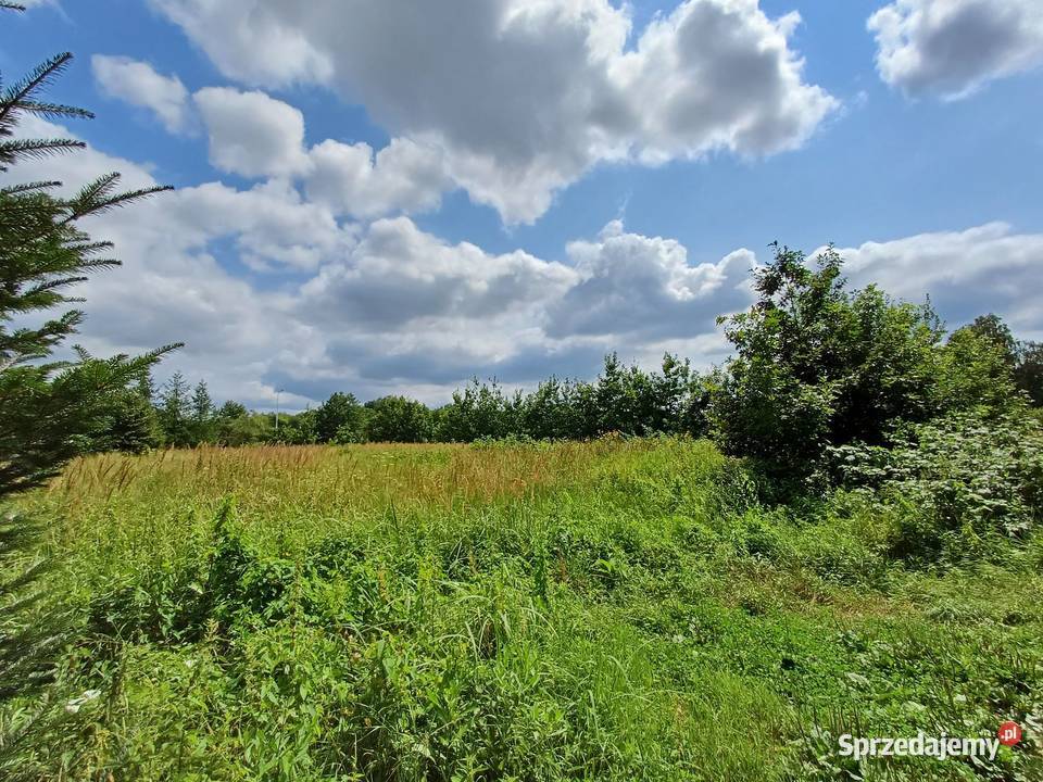 Działka budowlana w Sanoku centrum miasta Sanok