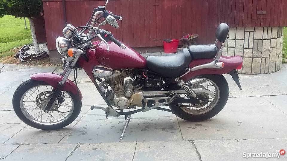 Chopper Rex 12550 Grybów