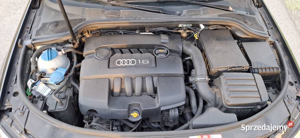 Audi A3 2003r bez korozji Zadbana 16 LPG Ładny Rzeszów