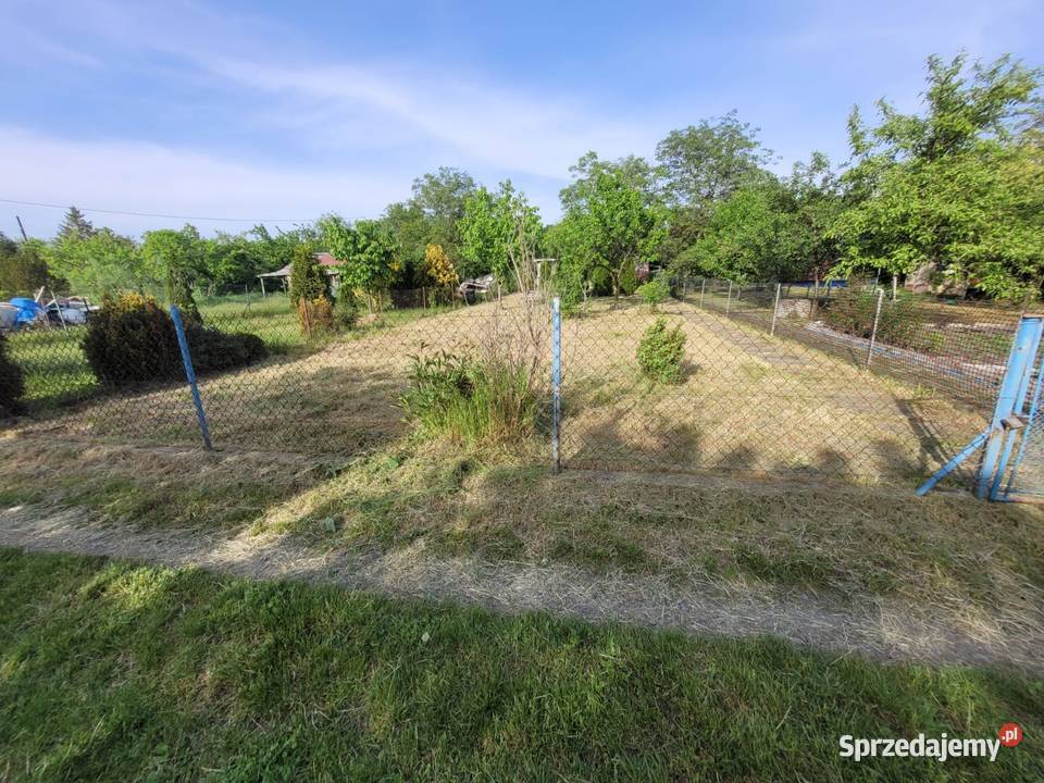 Działka ROD rekreacyjna rekreacyjna Opole