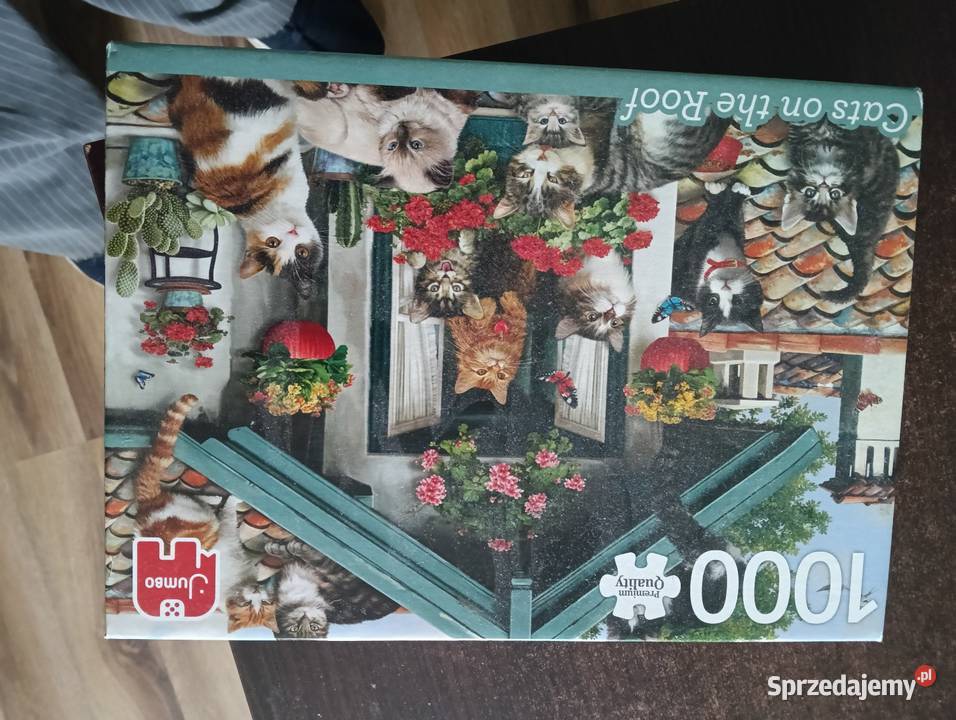 Puzzle Puzzle Iława