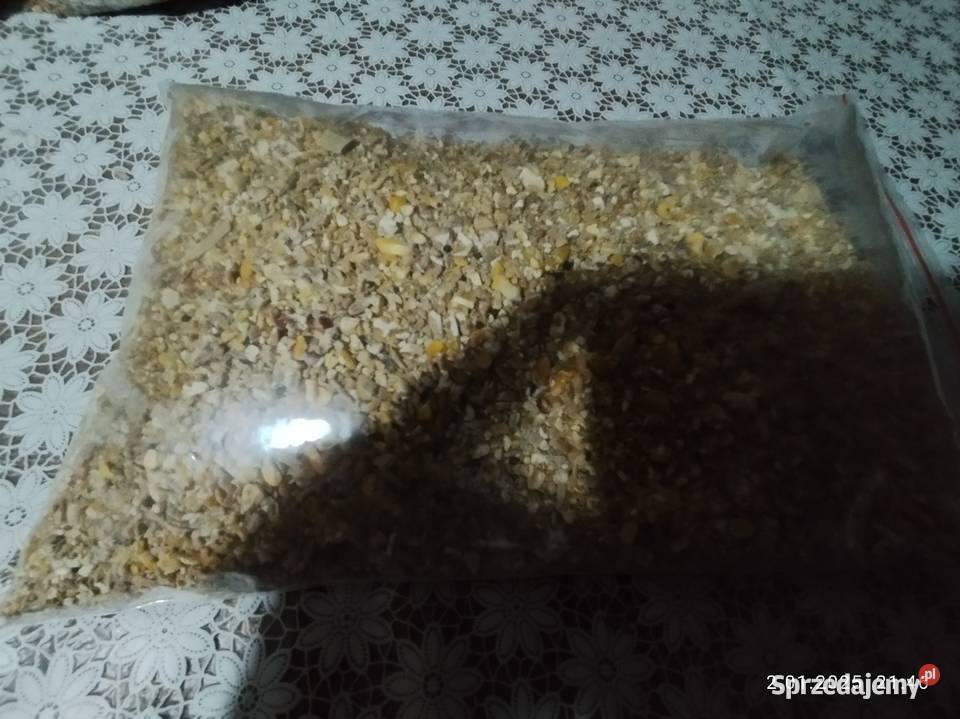 Kukurydza duszona Kcynia sprzedam