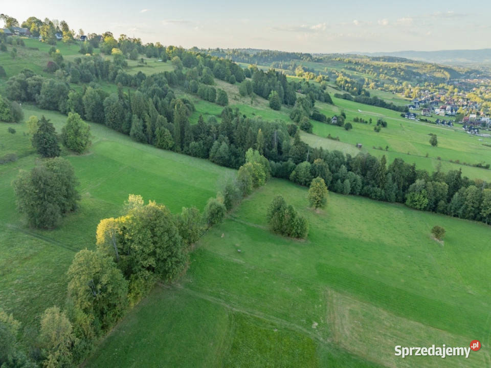 Działka rolna Biały Dunajec Dańkowe