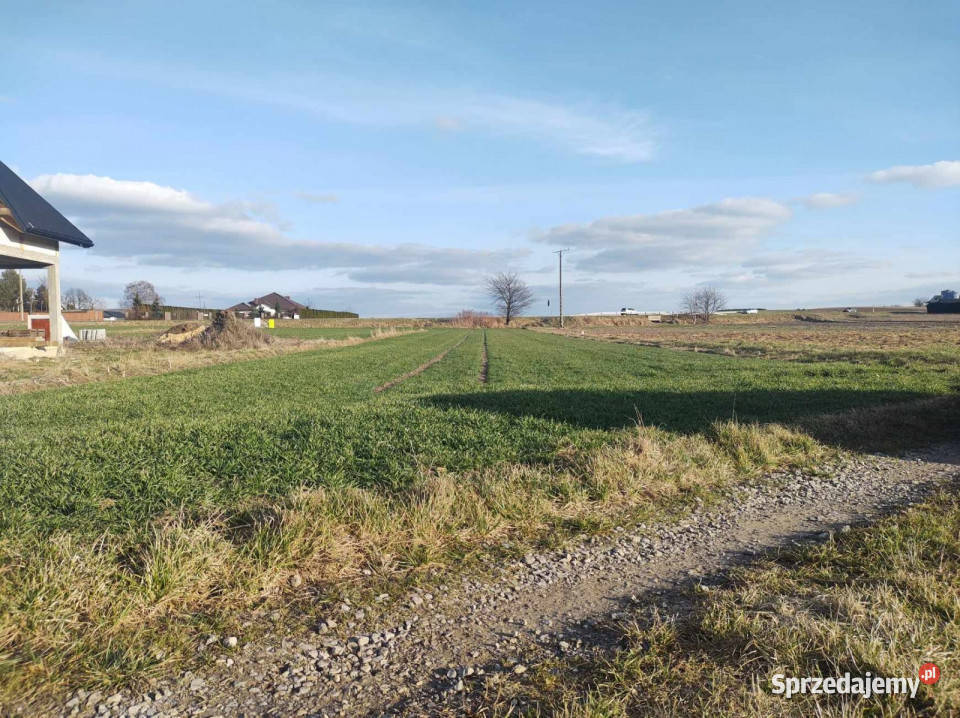 Działka 2000 metrów Wojciechów budowlana Sprzedaż