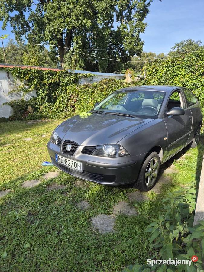 Sprzedam Seat Ibiza 2005 nieuszkodzony