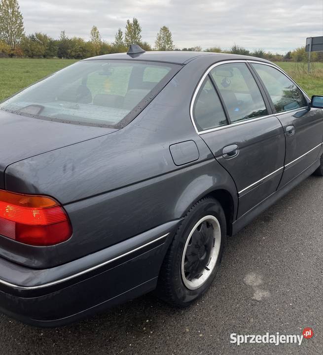 E39 i E46 Suchań