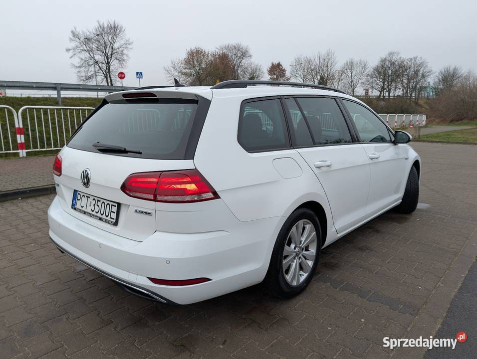 Vw Golf 7 15 Tsi 130 ACT Bluemotion Kombi Golf wielkopolskie Czarnków