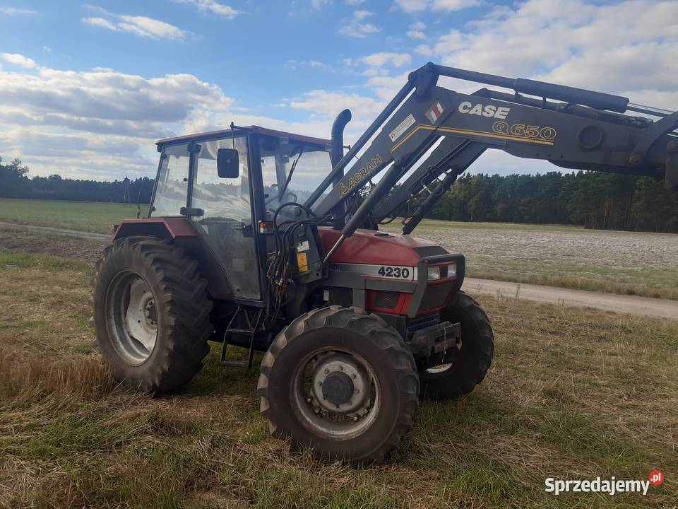 Sprzeda CASE 4230 Ceków