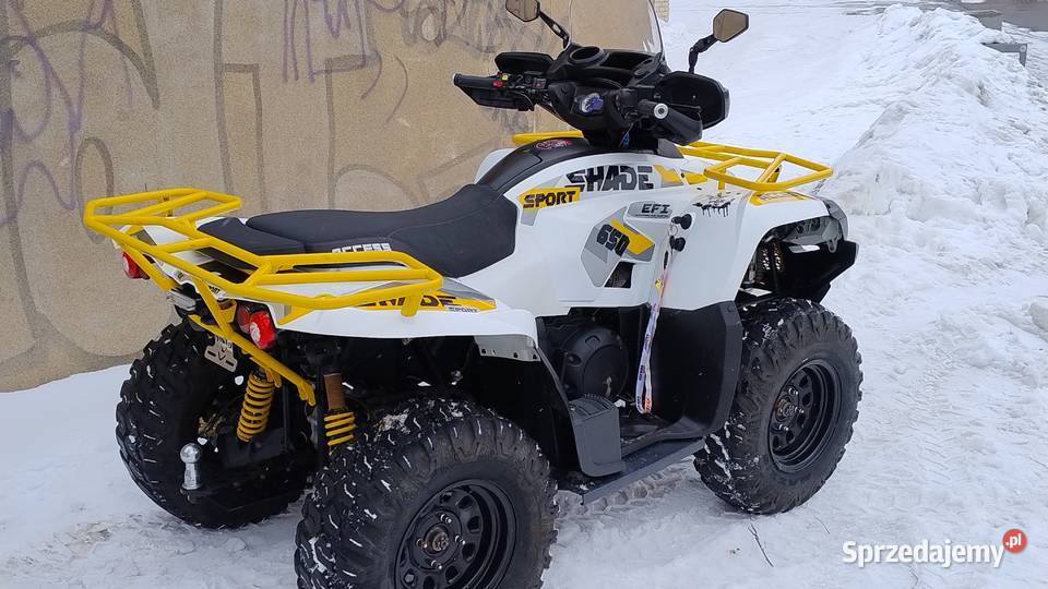 Access 650efi 2019r 4x4 Kymco TGB Sym Cfmoto Rok produkcji 2019 Nowy Dwór Mazowiecki sprzedam
