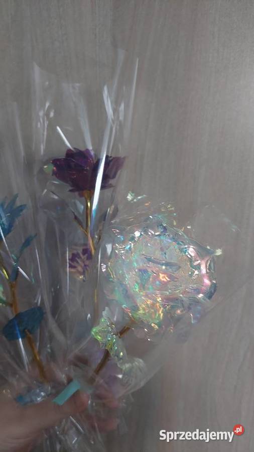 WIECZNE RÓŻE 25 RÓŻNE KOLORY Rybnik