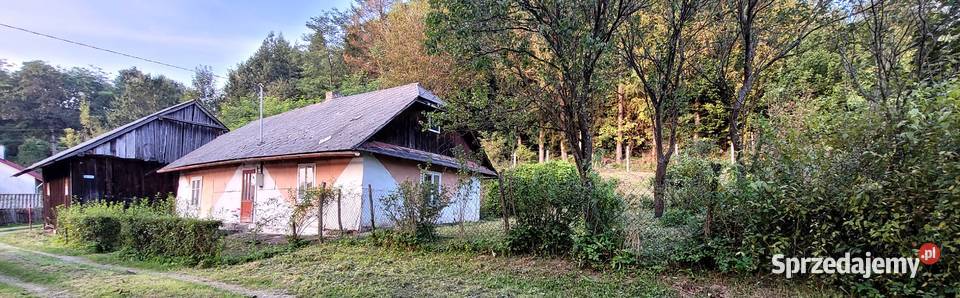 Dom z dużą działką 21 a podkarpackie Dynów