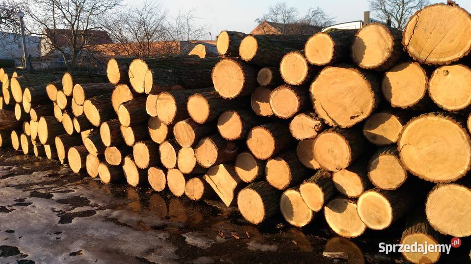 Drewno kominkowe opałowe transport wielkopolska Sobótka sprzedam