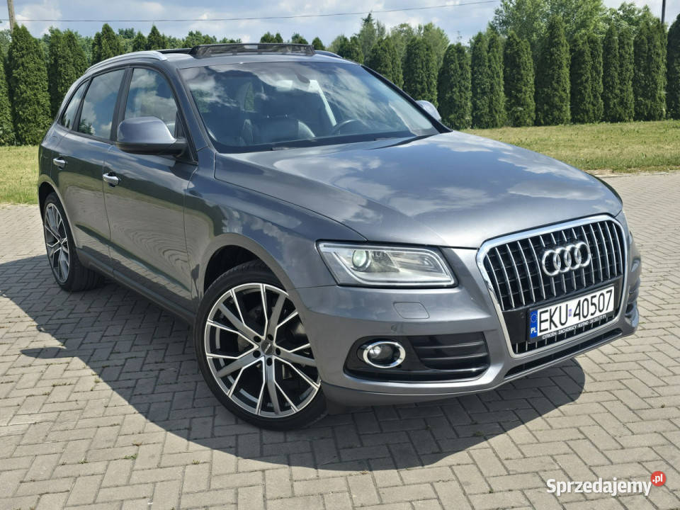 Audi Q5 20tdi SkóryNaviKlimatr 2 elektrochrom. lusterko wst. Audi Kutno