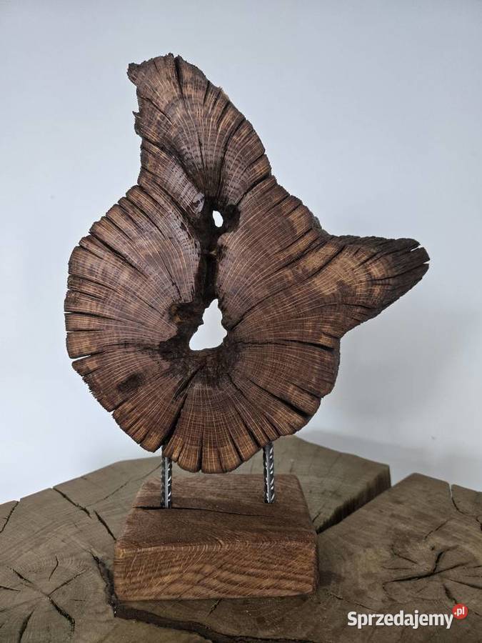 Ozdoba drewniana dębowa z korzenia Trzciel