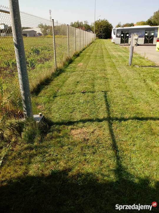 Madbruk Ogród i Kostka Brukowa Pruszków prace ogrodowe