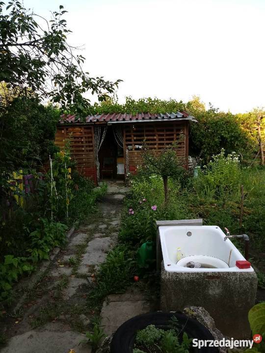 Ogródek Działkowy Hagera Zabrze RodSzarotka sprzedam