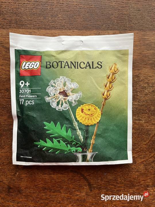 Lego Botanicals Plastik  Chełmża