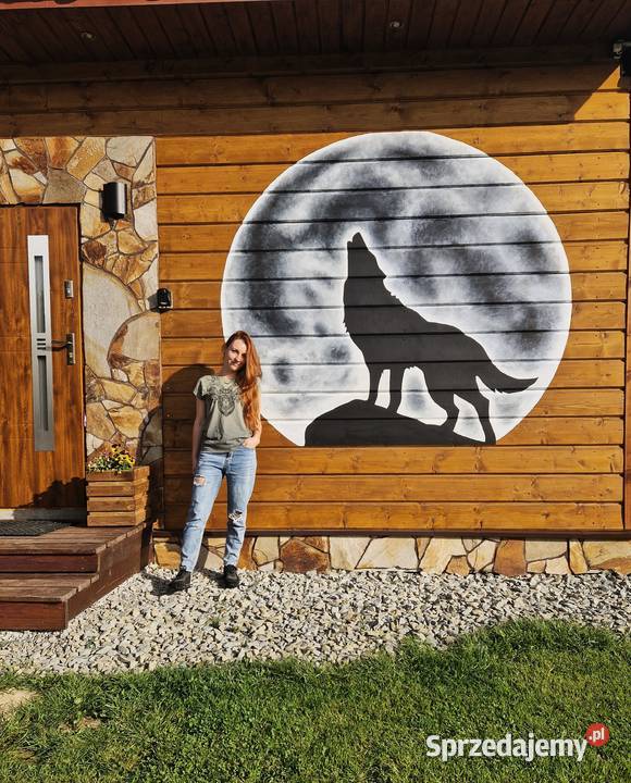 Artystyczne malowanie ścian obrazy na ścianie Pozostałe małopolskie Kraków sprzedam