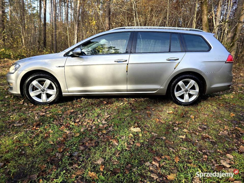 Piękny Volkswagen Golf VII 12TSI 110 Prywatnie Golf Czarna Woda