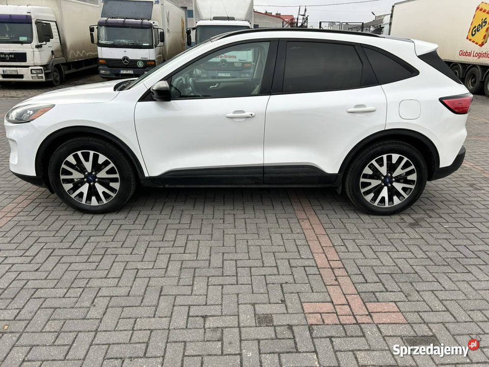 Escape hybryda plug in Siedlce
