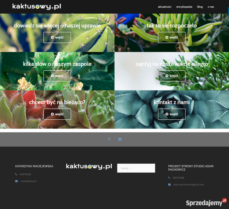 Projektowanie tworzenie stron internetowych wielkopolskie Konin