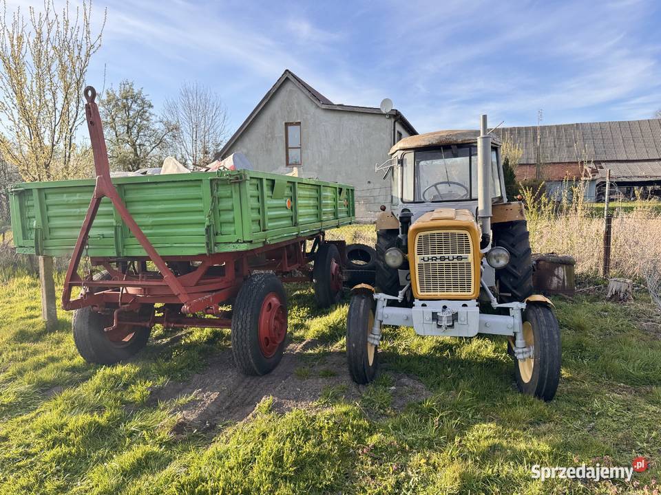 Oferuję przyczepę Autosan Trzebiatów