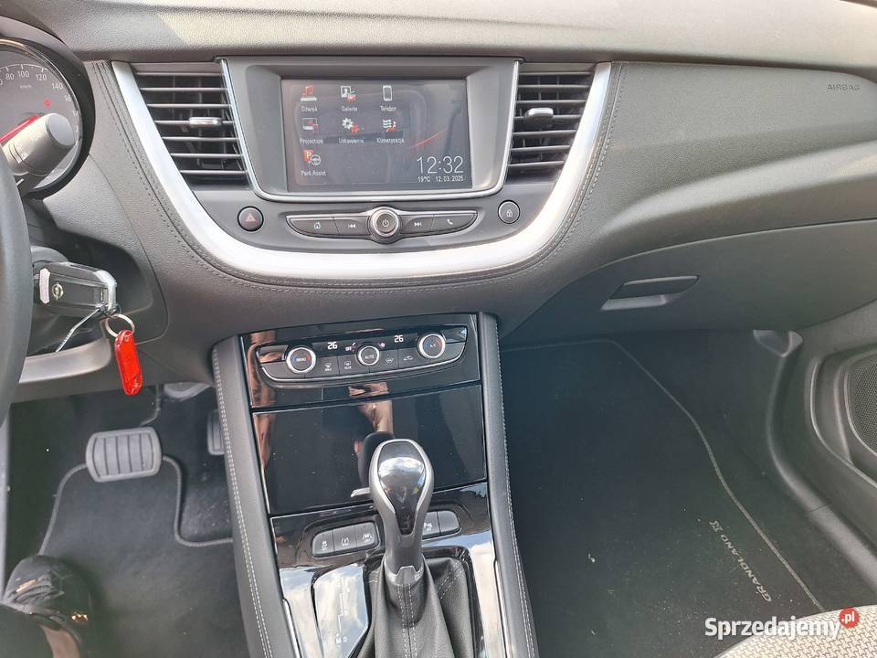 Opel Grandland X 2019 Grandland X śląskie Częstochowa