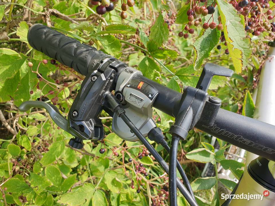 Rower Cube reaction MTB XC rama 22 koła 26