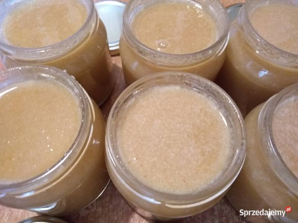 Mleczko pszczele trutowe Gomogenat Trutowy Pszczelarstwo Warszawa sprzedam