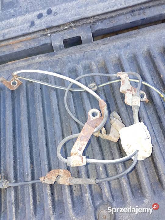 Kolektor ford ranger Ranger Łowicz sprzedam