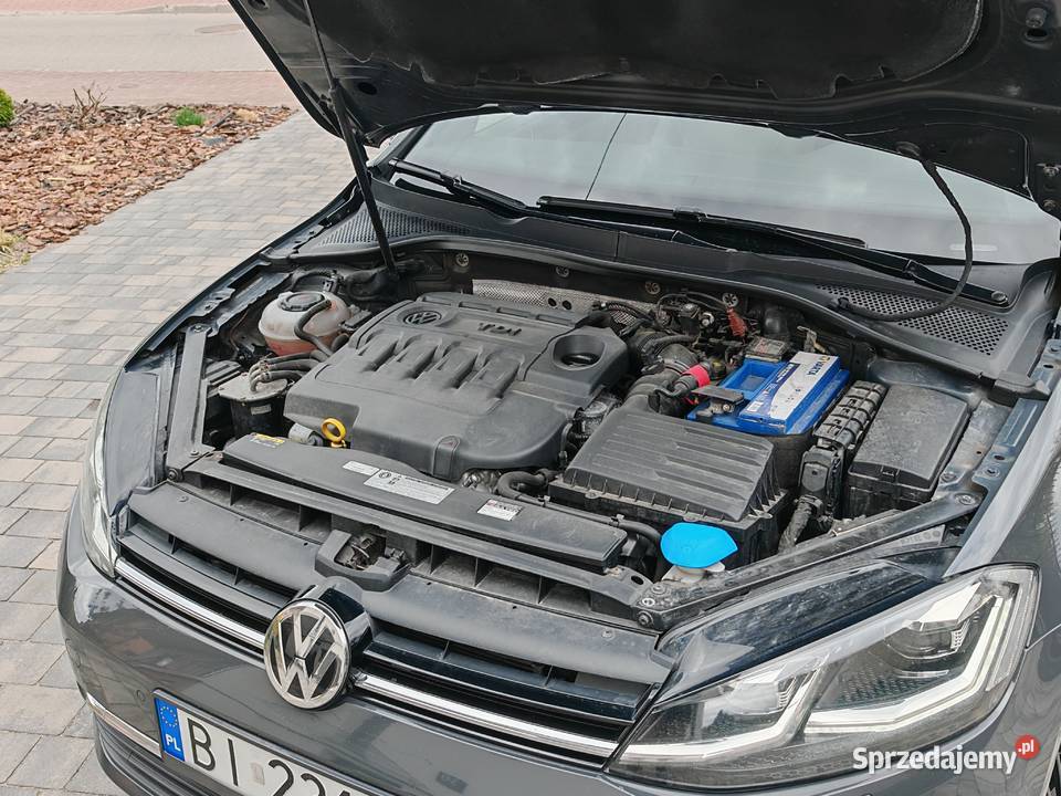 Volkswagen Golf VII 20 TDI BMT Comfortline EU6 immobilizer Golf Białystok