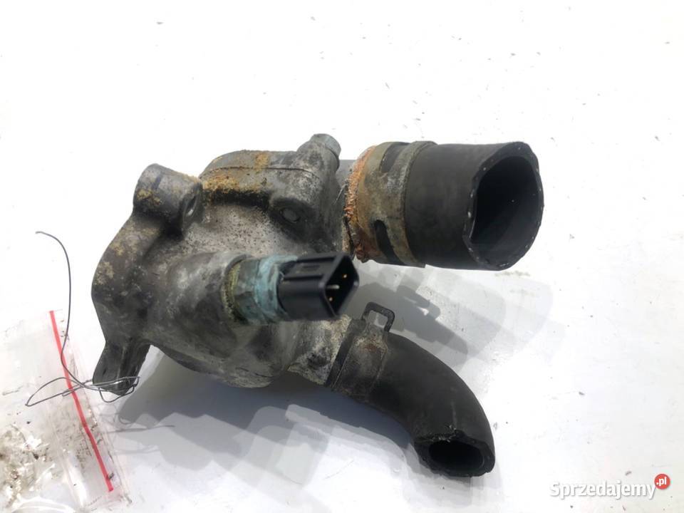 KRÓCIEC WODNY KIA OPTIMA 17 141 podkarpackie