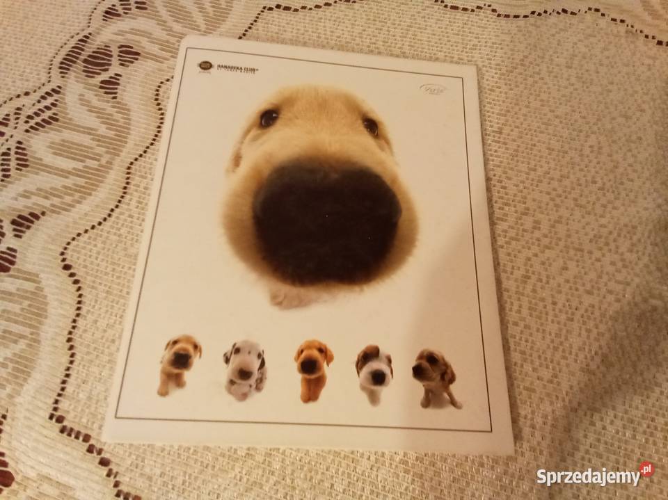 Segregator pieski z wielkimi głowami