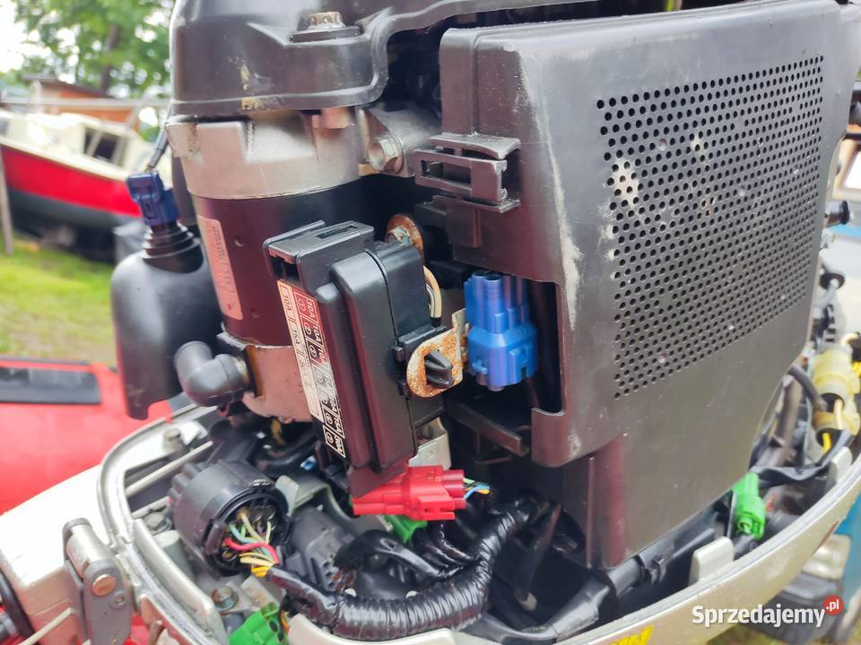 Rib Marshall M60 plus Honda BF 40 Rybnik