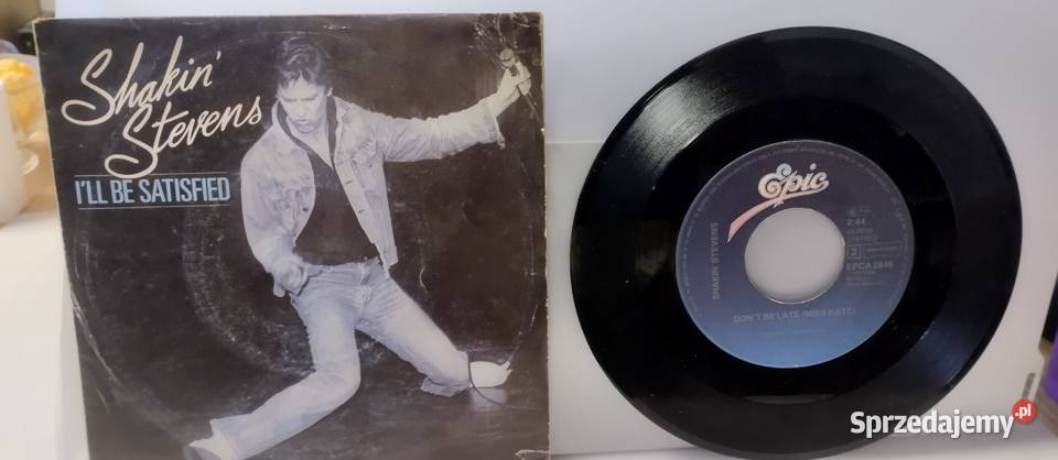 Płyty winyle Single stan kujawsko-pomorskie