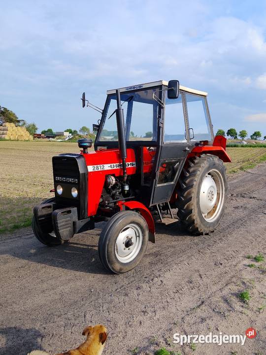 Ursus 2812 Stan Oryginalny 1właś Ursus łódzkie Goszczanów