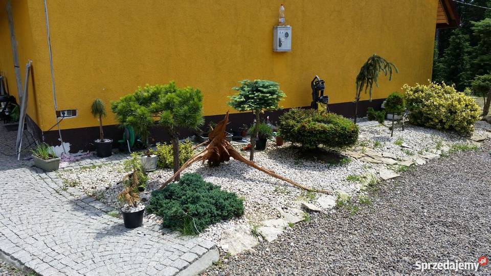 DOM DYNÓW RZESZÓW ŁUBNO BASEN SZKÓŁKA DOMEK 2400m2 Dynów