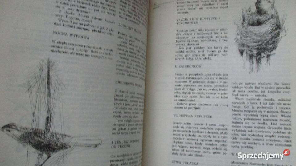 Głos przyrody przyroda edukacja Janczarski łódzkie Łódź