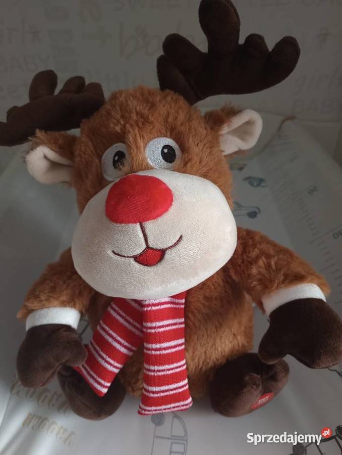 Grający i ruszający się renifer Szczecin