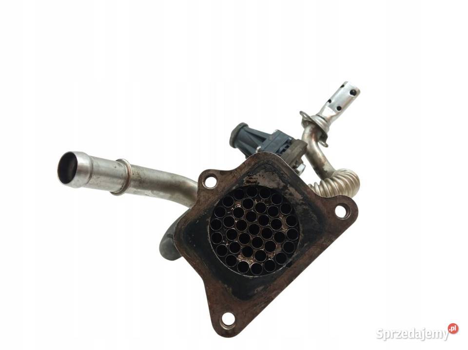 CHŁODNICA SPALIN CK2Q9F464AB 22 TDCI Ford