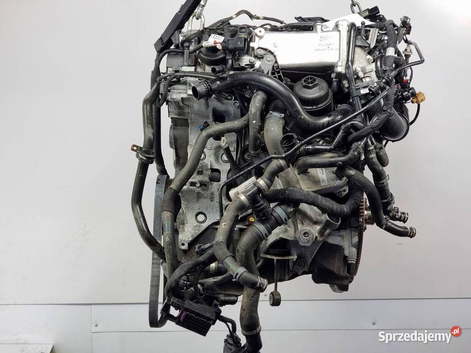 SILNIK KOMPLETNY AUDI A4 B9 DEU 20 TDI osobowe Lipno