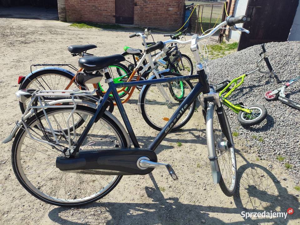 Rowery i hulajnogi Dziecięce Bereżnica