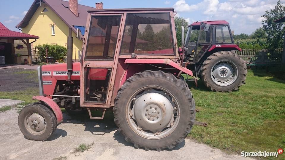 Massey Ferguson 255 lubelskie Zamość