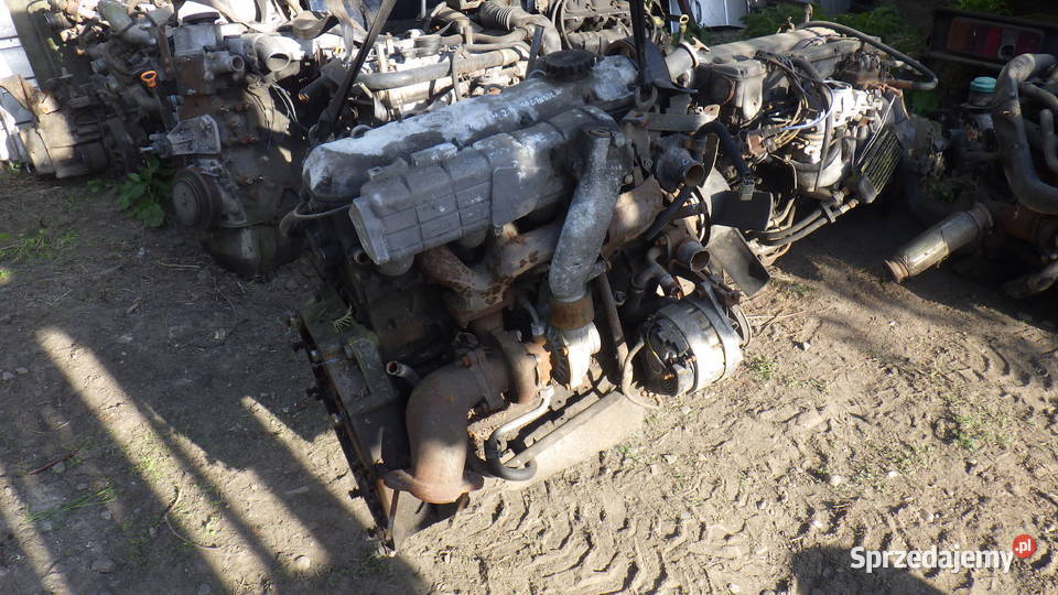 Renault 28 td Kompletny silnik Mascott 2000 podkarpackie Rzeszów